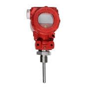 FTFS-1S50-3T300-G1/2-K20